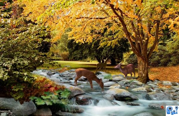 Creation of Autumn Along the Creek: Final Result